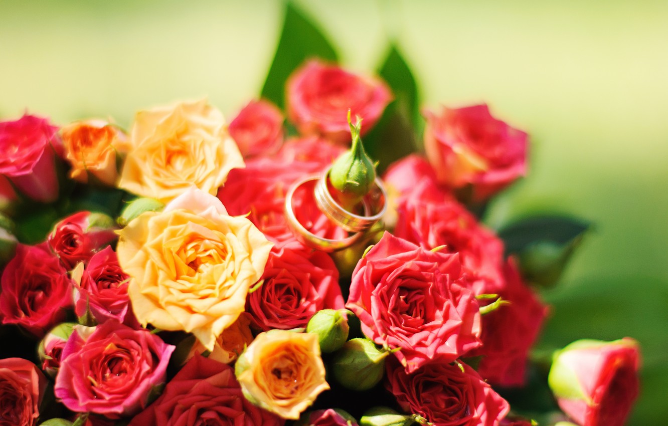 Red And Yellow Flowers Wallpapers
