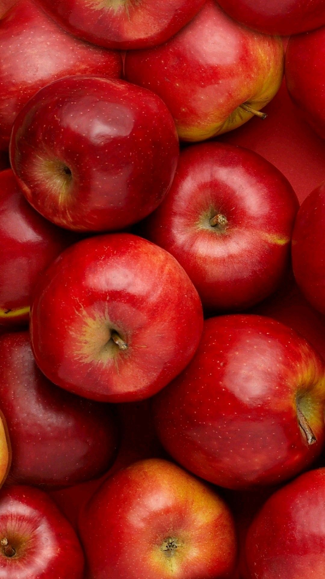 Red Apple Fruit Wallpapers