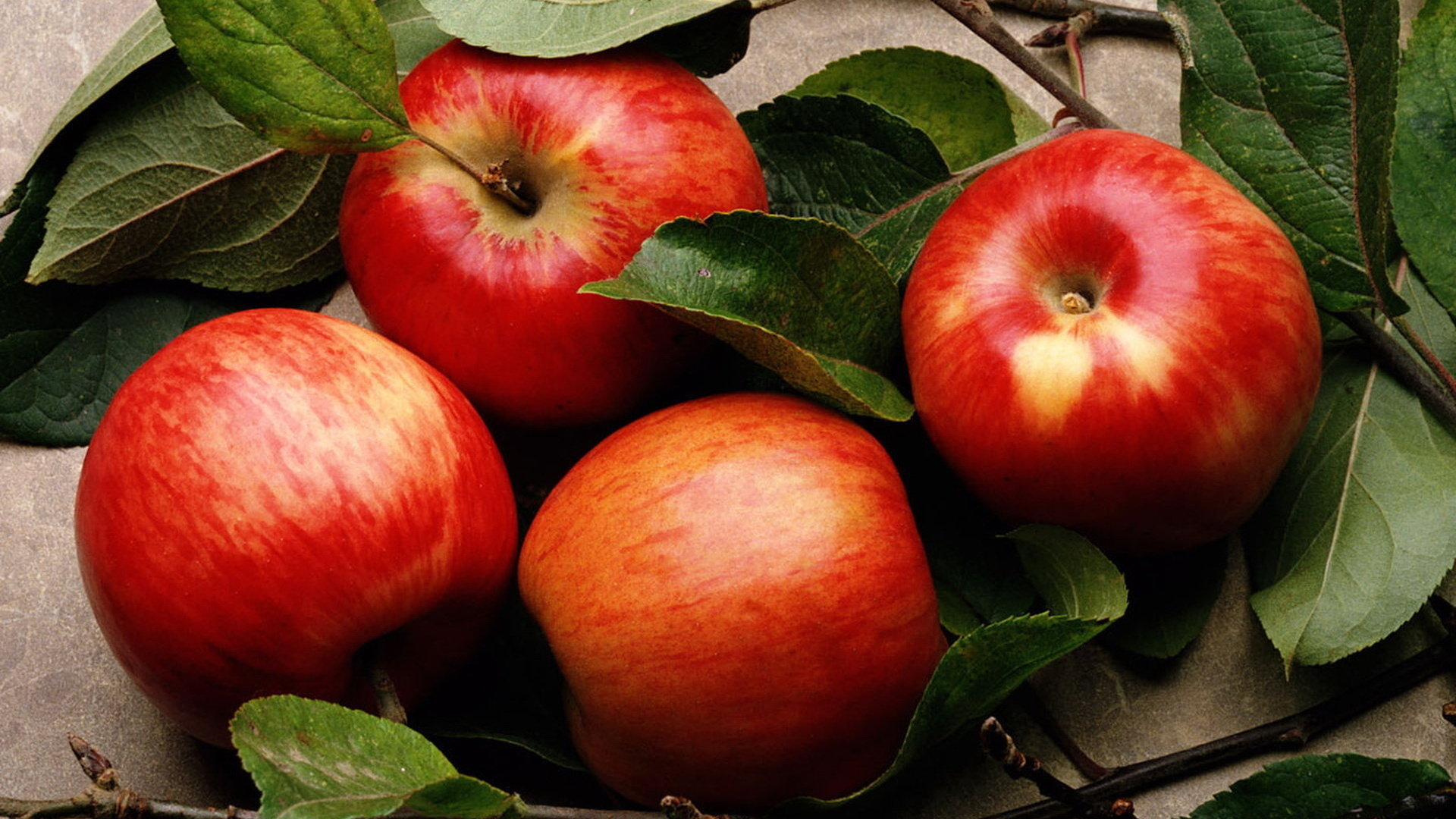 Red Apple Fruit Wallpapers