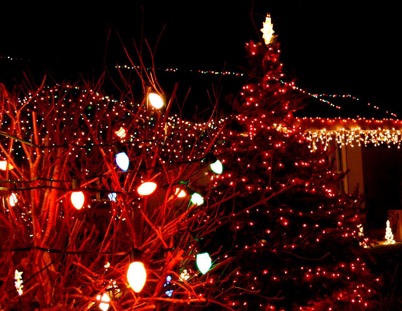 Red Christmas Lights Wallpapers