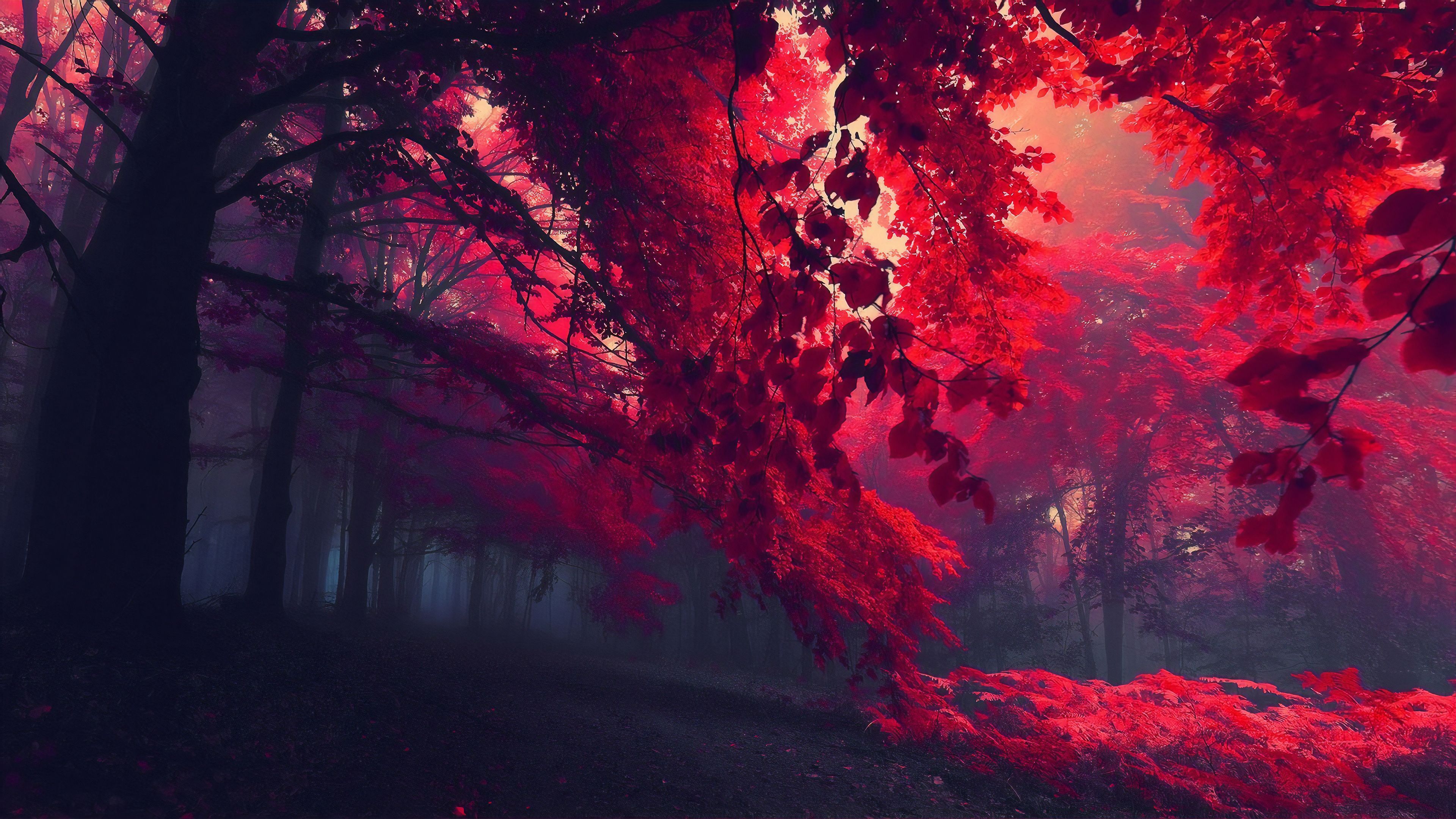 Red Fall Wallpapers