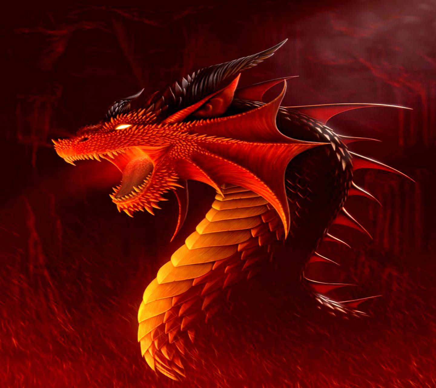 Red Fire Wallpapers