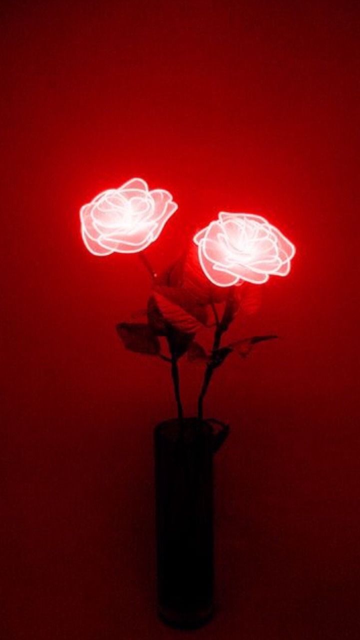 Red Flower Aesthetic Wallpapers