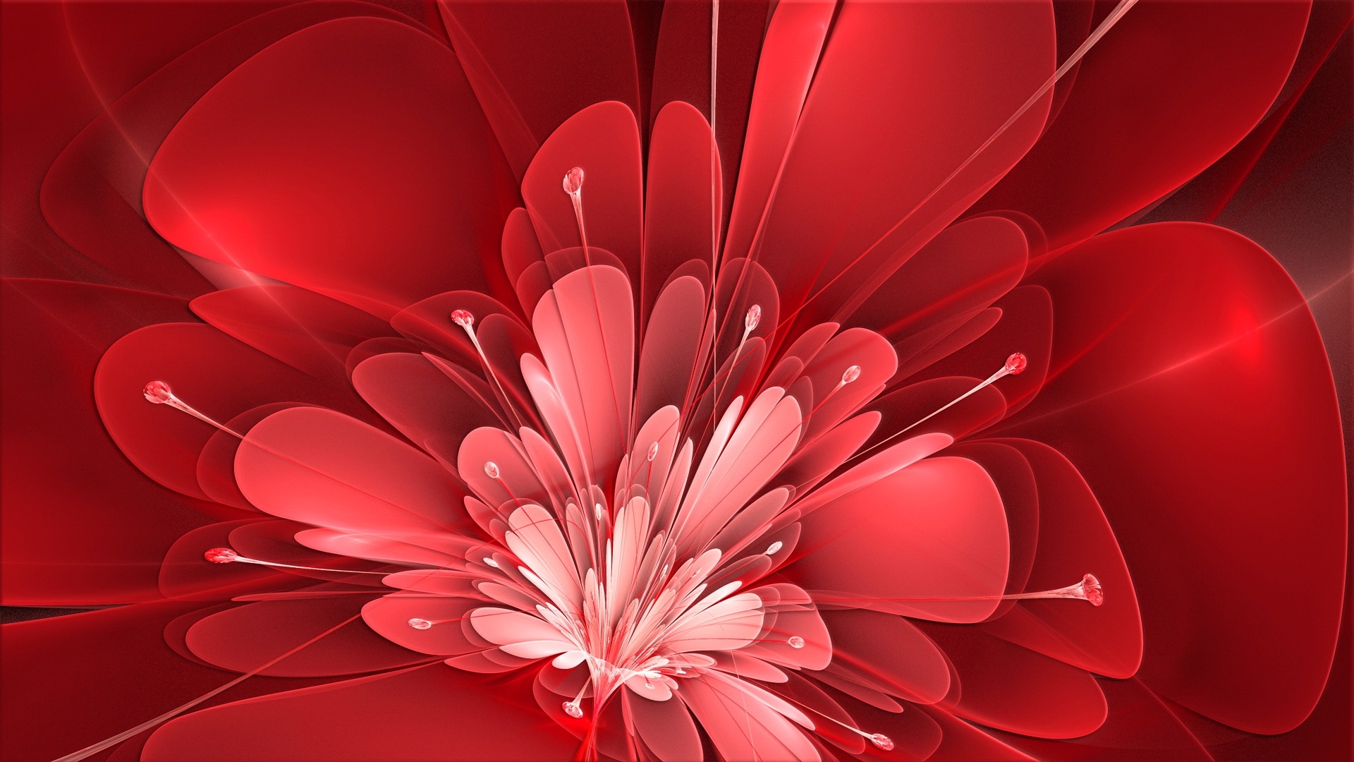 Red Flowers Desktop Wallpapers