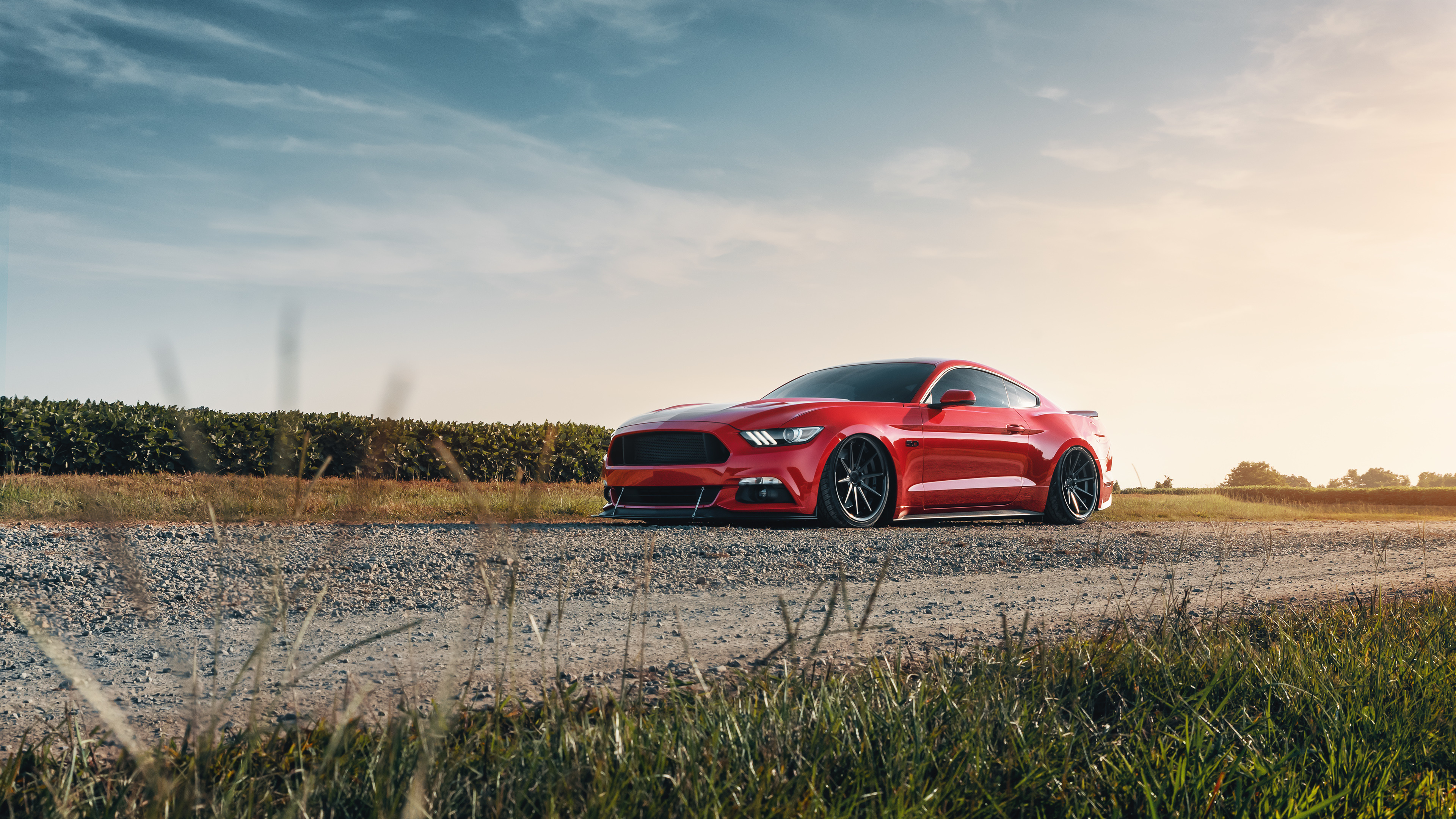 Red Ford Mustang Wallpapers