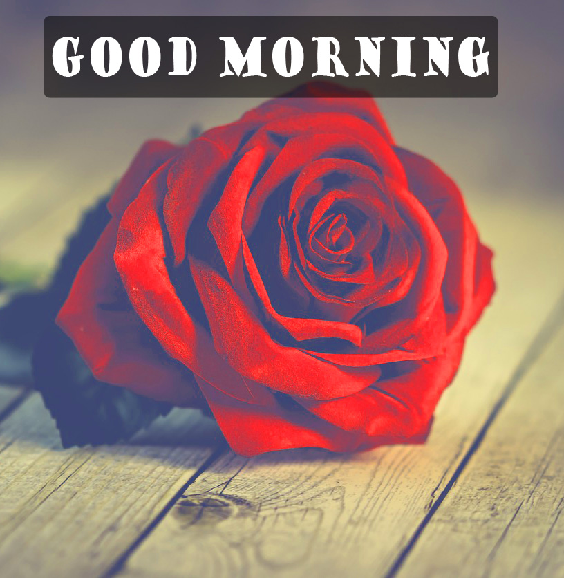 Red Good Morning Wallpapers