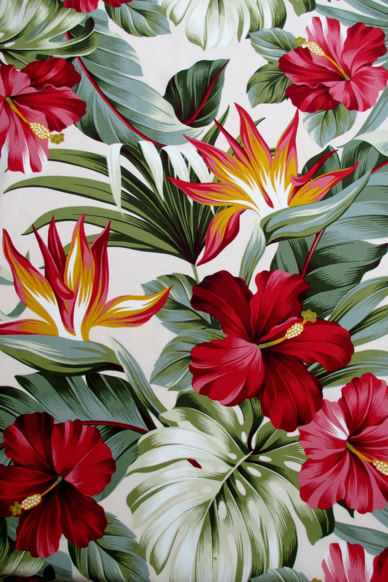 Red Hawaiian Print Wallpapers