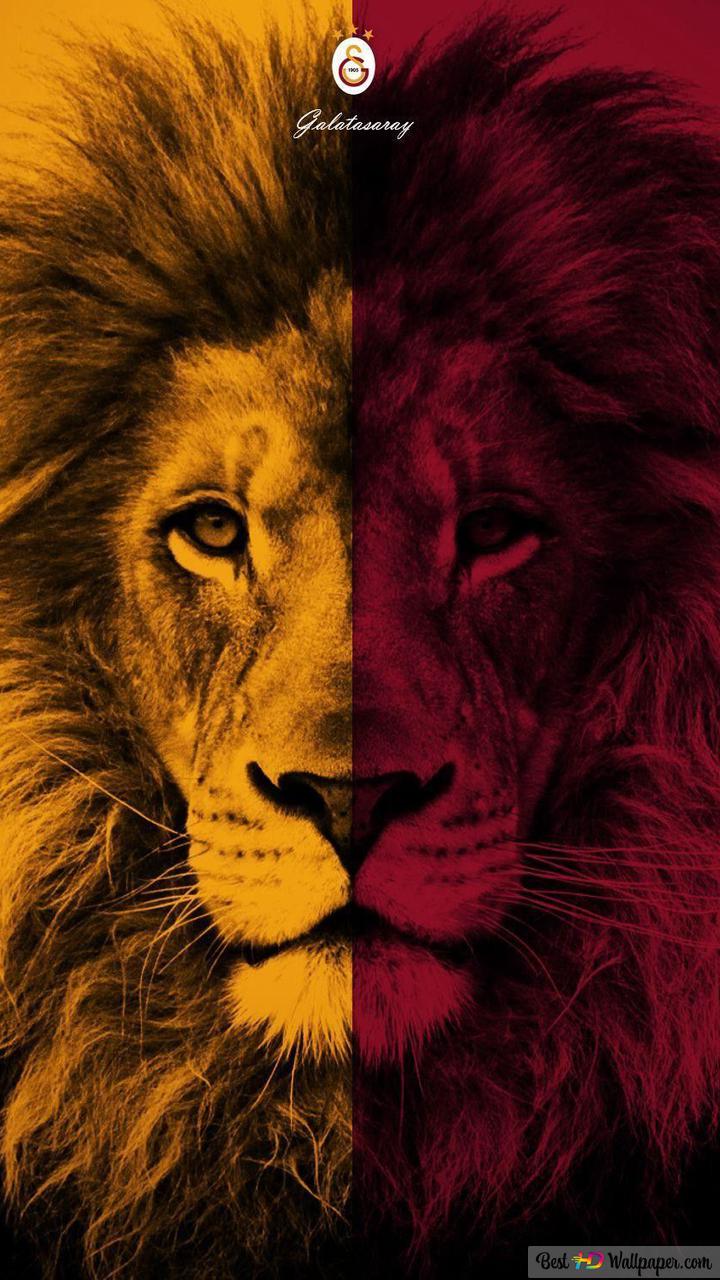 Red Lion Wallpapers