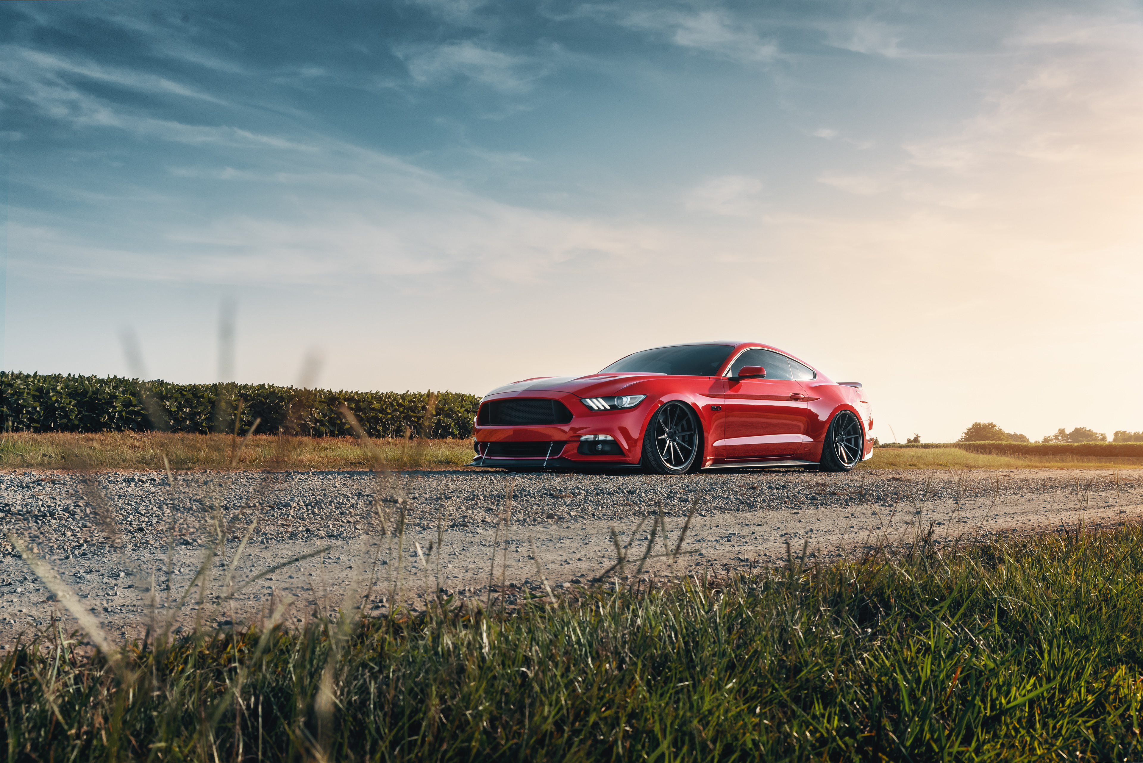 Red Mustang Wallpapers