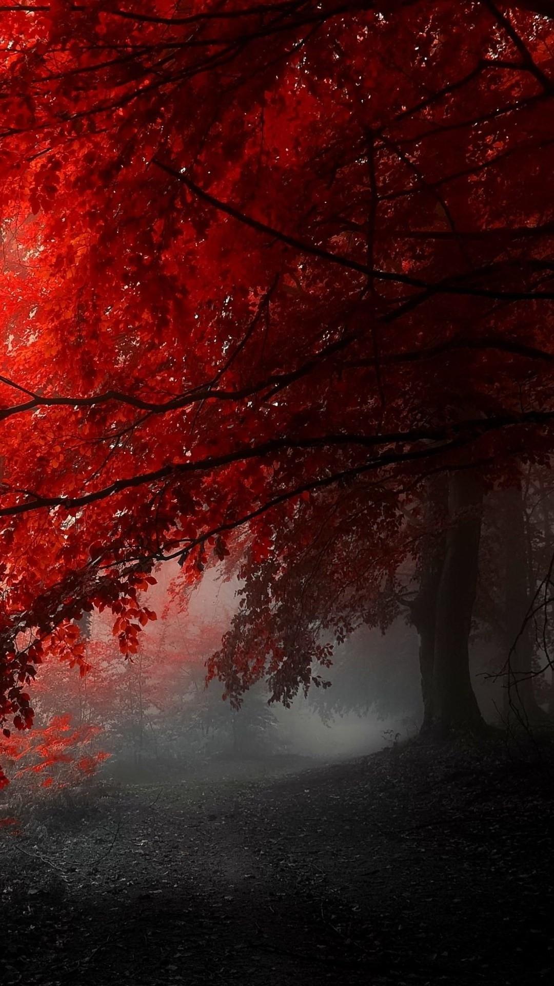 Red Nature Wallpapers