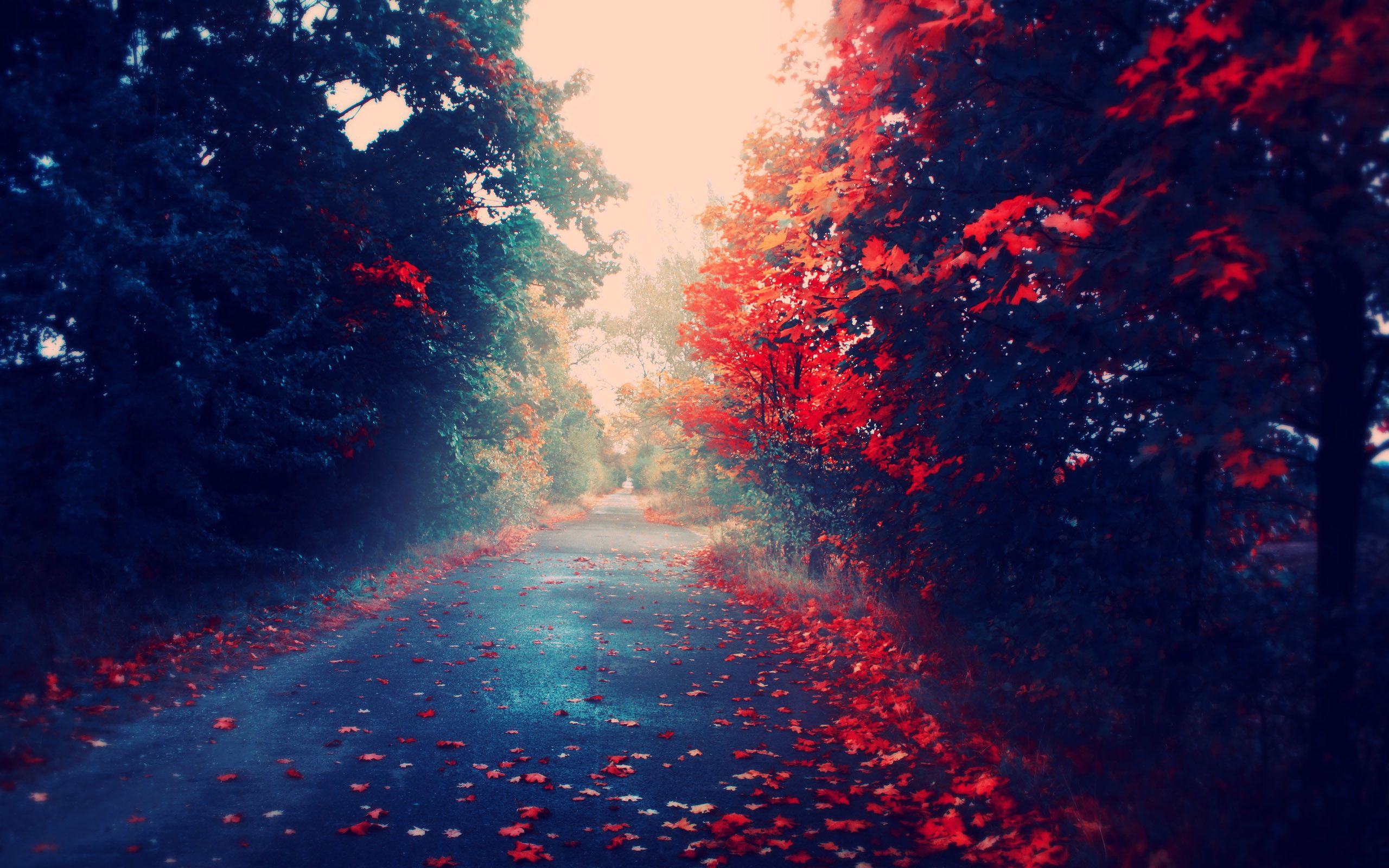 Red Nature Wallpapers