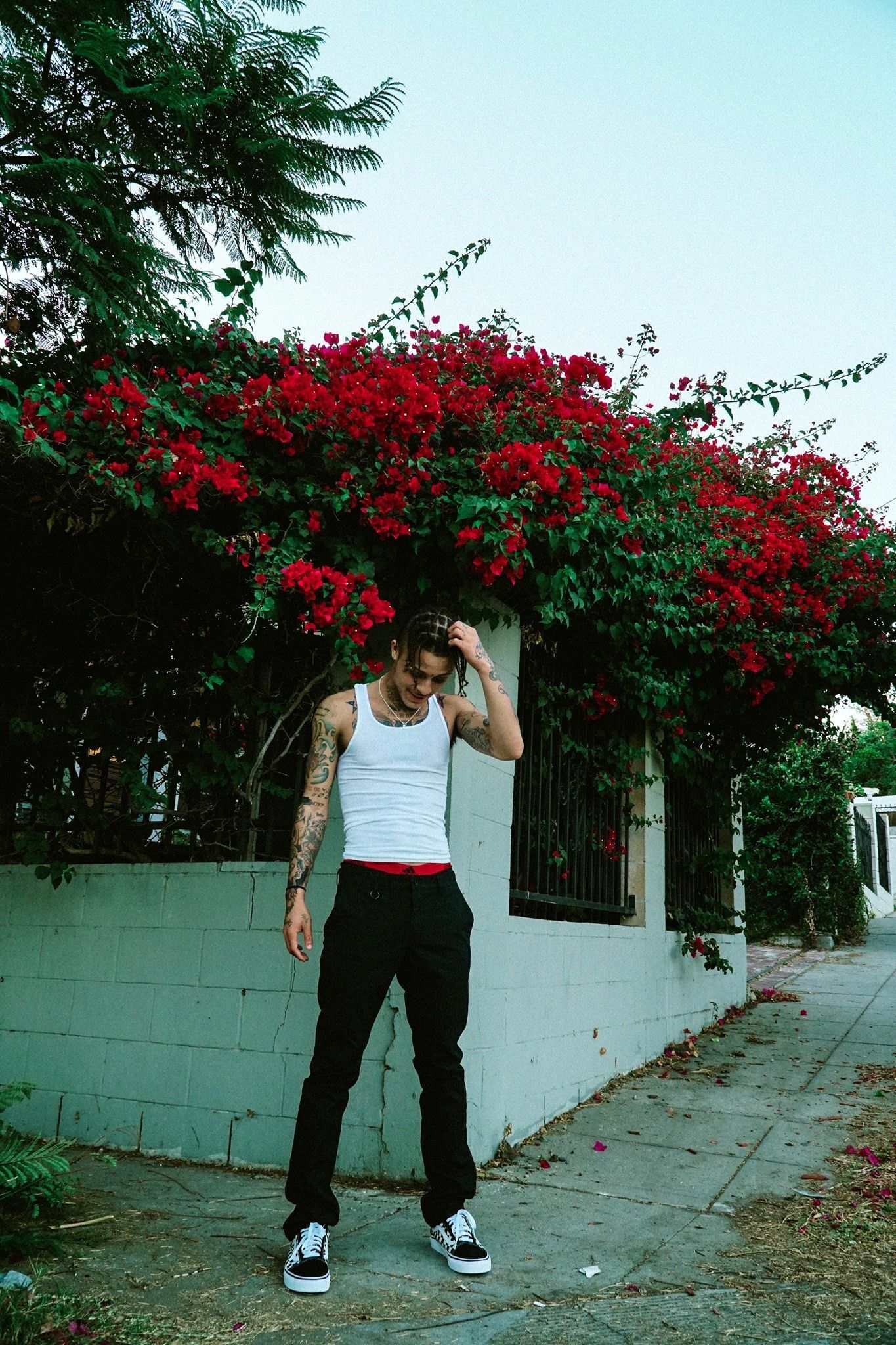 Red Roes Lil Skies Wallpapers