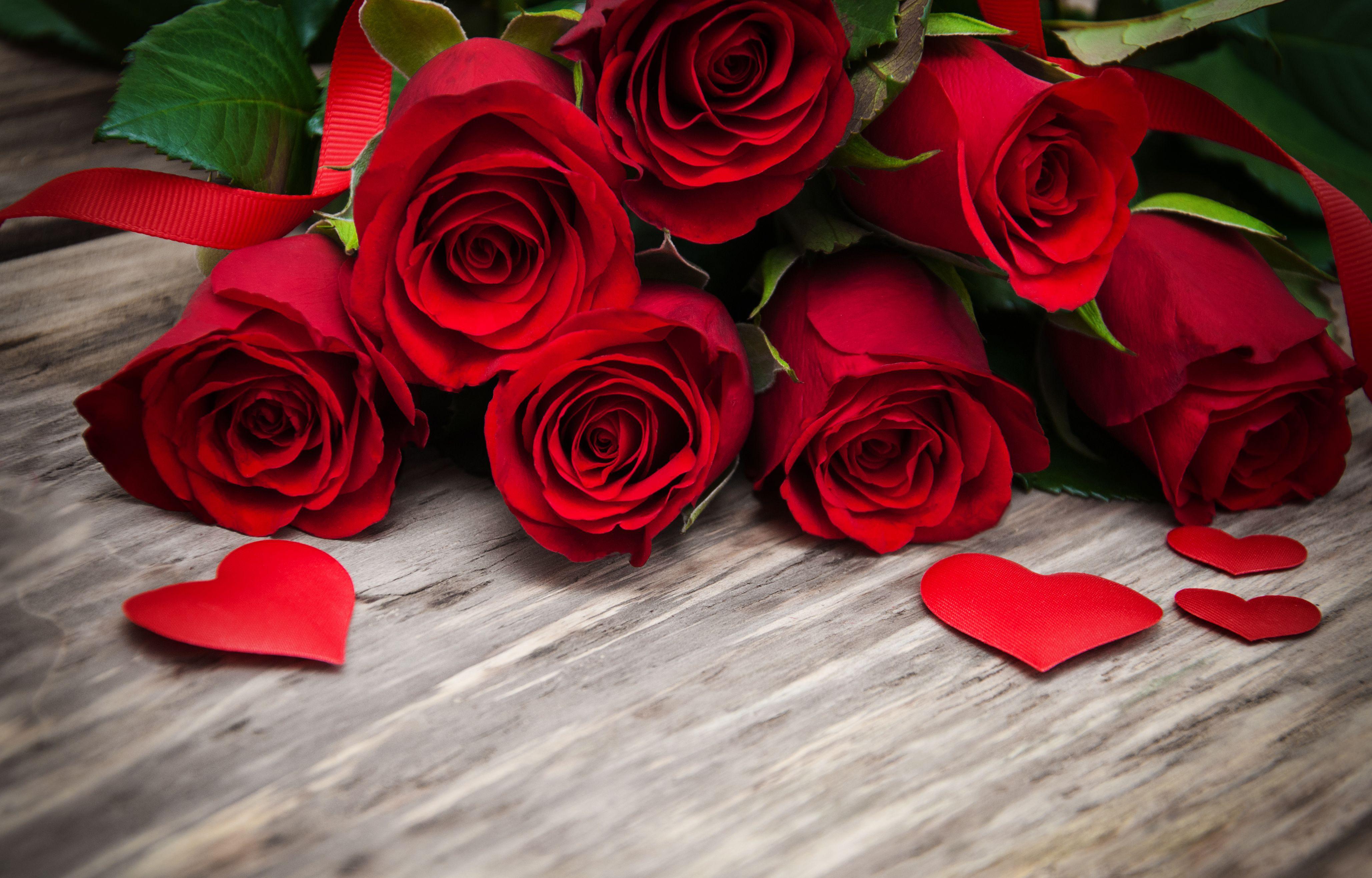 Red Roses Hd Wallpapers