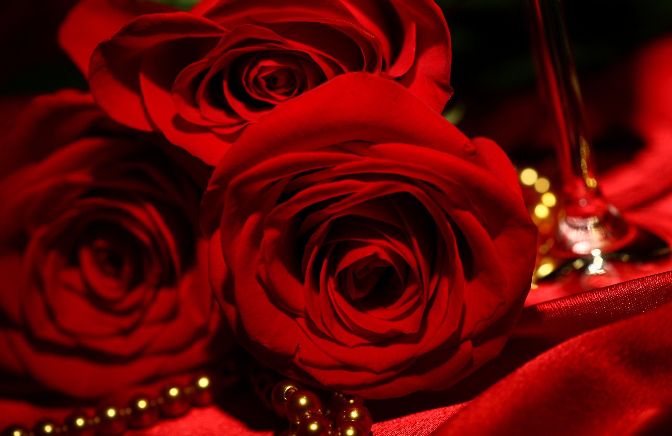 Red Roses Hd Wallpapers