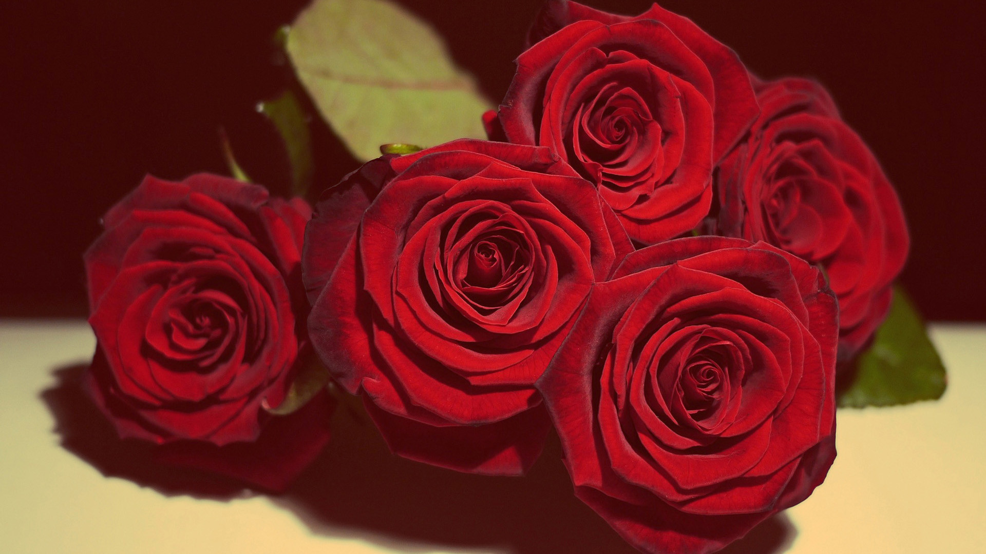 Red Roses Hd Wallpapers