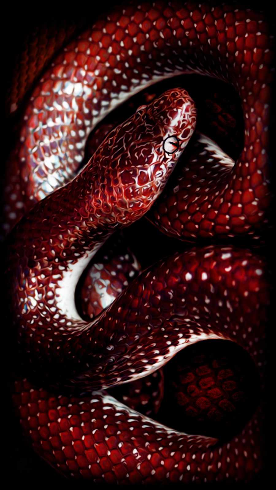 Red Snake Wallpapers