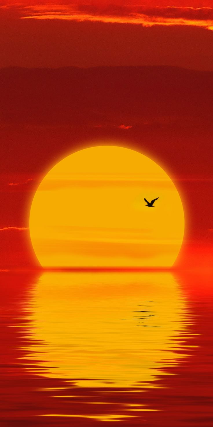 Red Sun Wallpapers