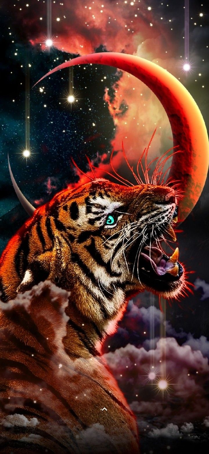 Red Tiger Wallpapers