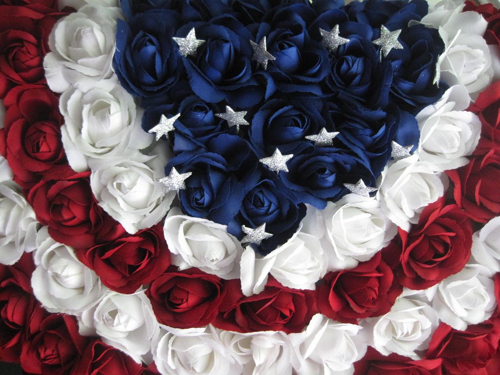 Red White And Blue Flowers Wallpapers