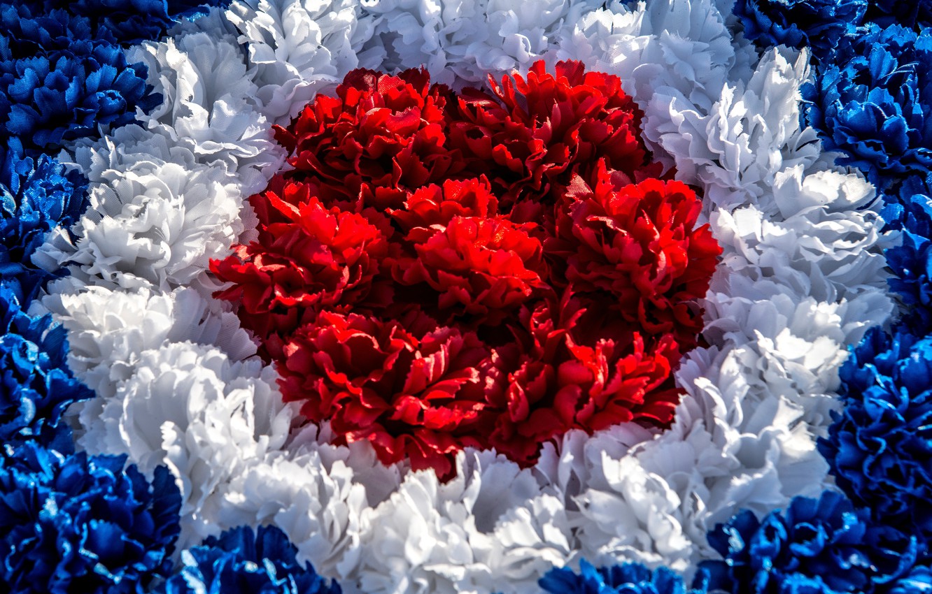 Red White And Blue Flowers Wallpapers