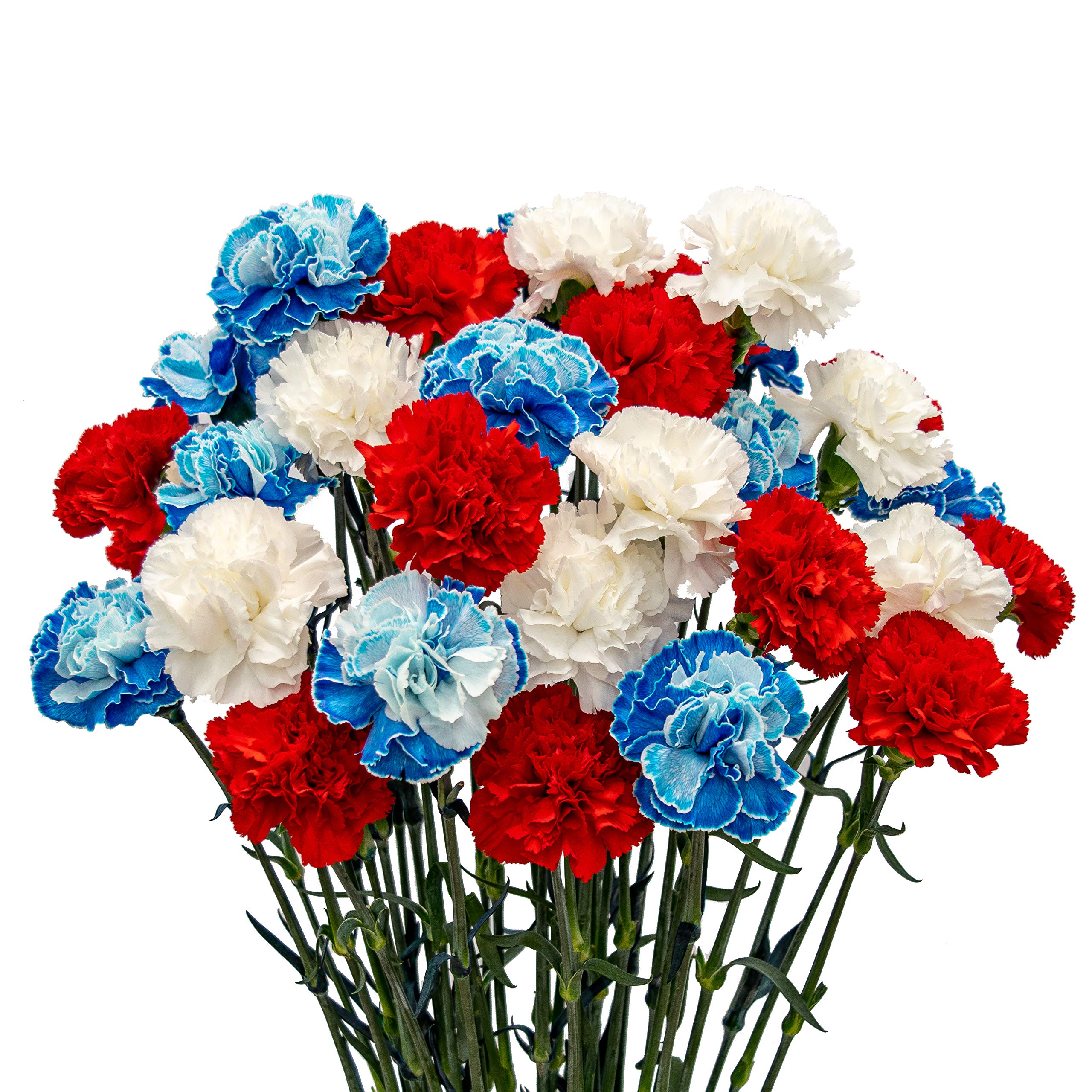 Red White And Blue Flowers Wallpapers