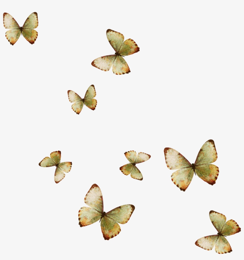 Yellow Butterfly Aesthetic Wallpapers