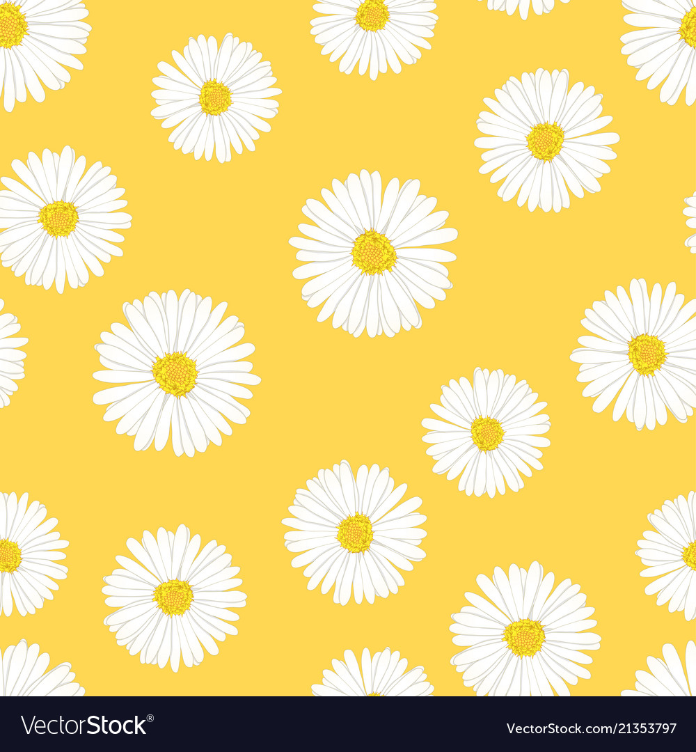 Yellow Daisy Wallpapers