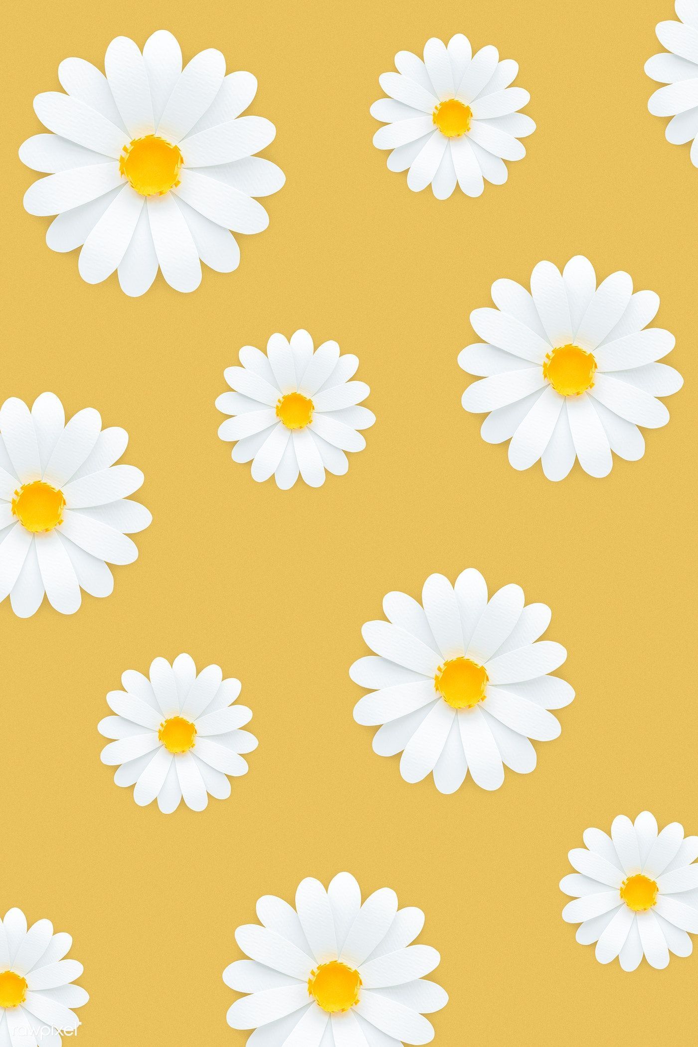 Yellow Daisy Flower Desktop Wallpapers