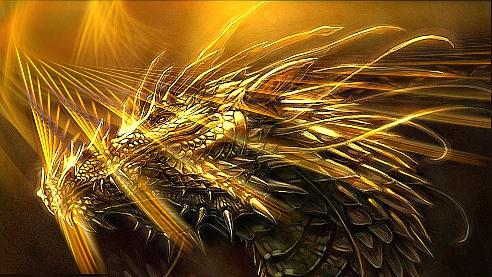 Yellow Dragon Wallpapers