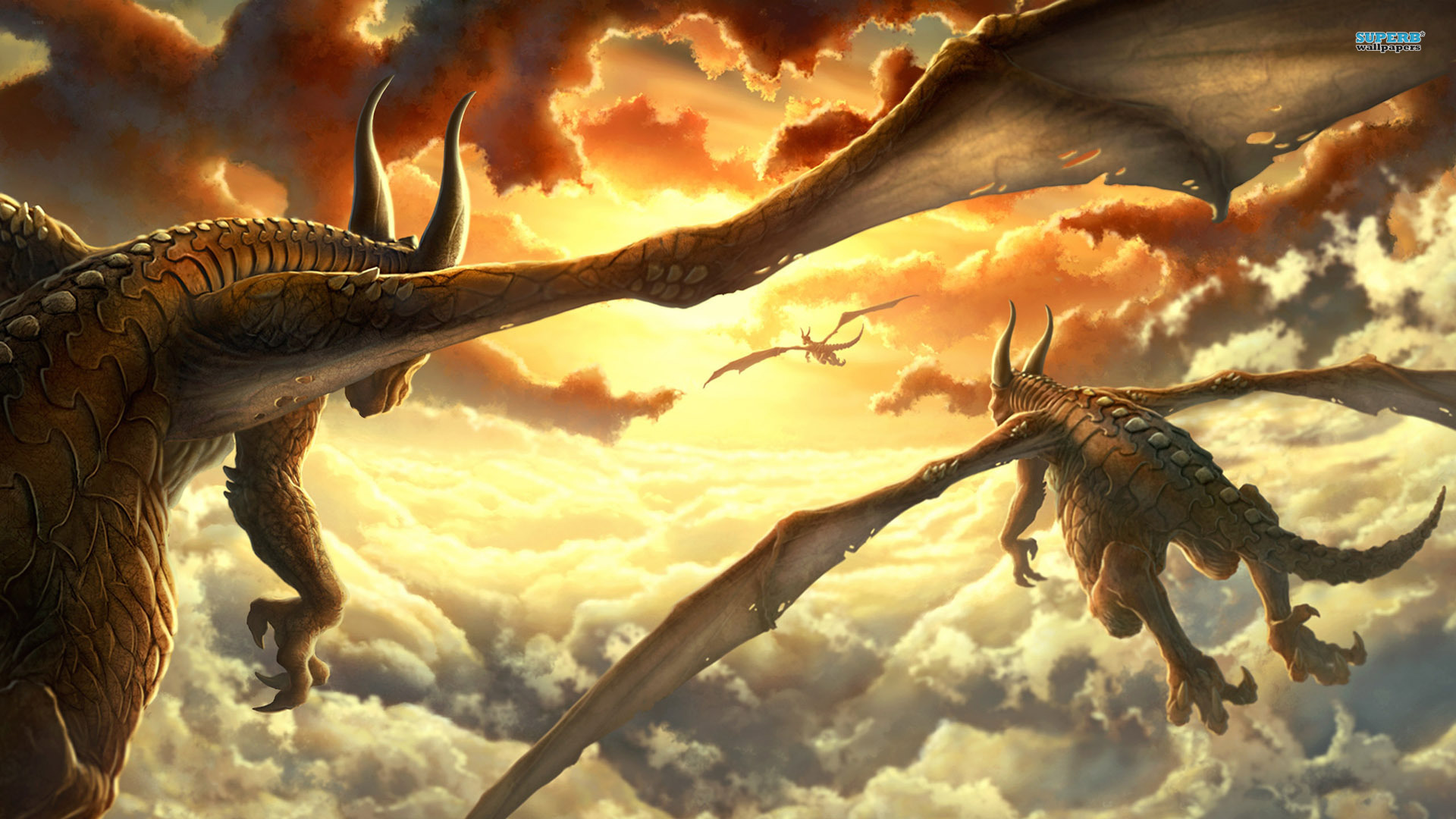 Yellow Dragon Wallpapers