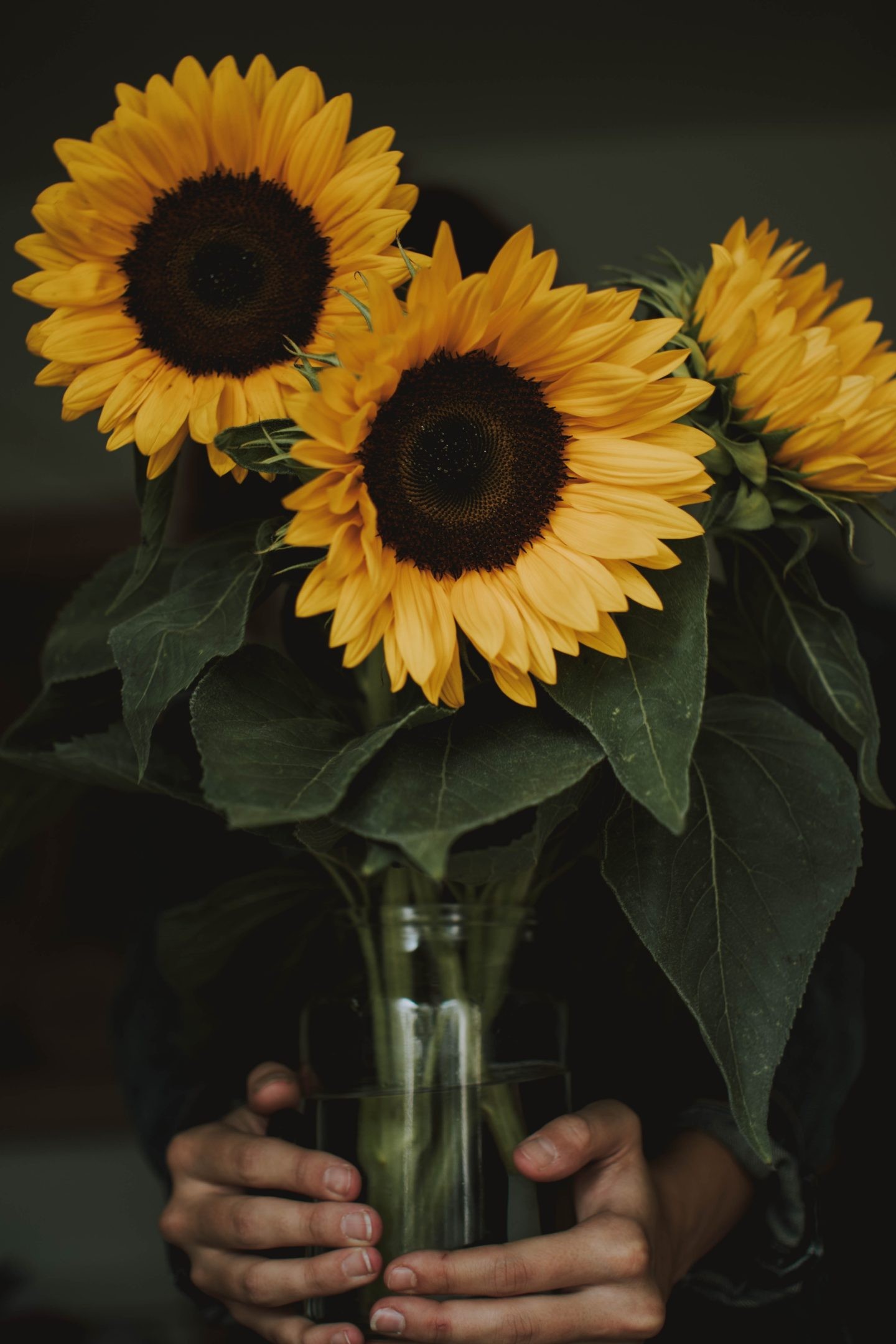 Yellow Flower Aesthetic Wallpapers