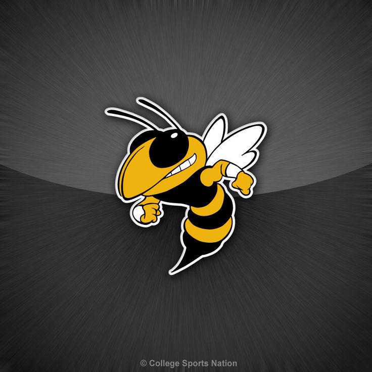 Yellow Jacket Wallpapers