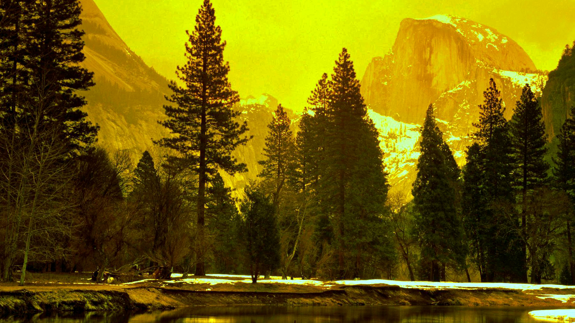 Yellow Nature Wallpapers