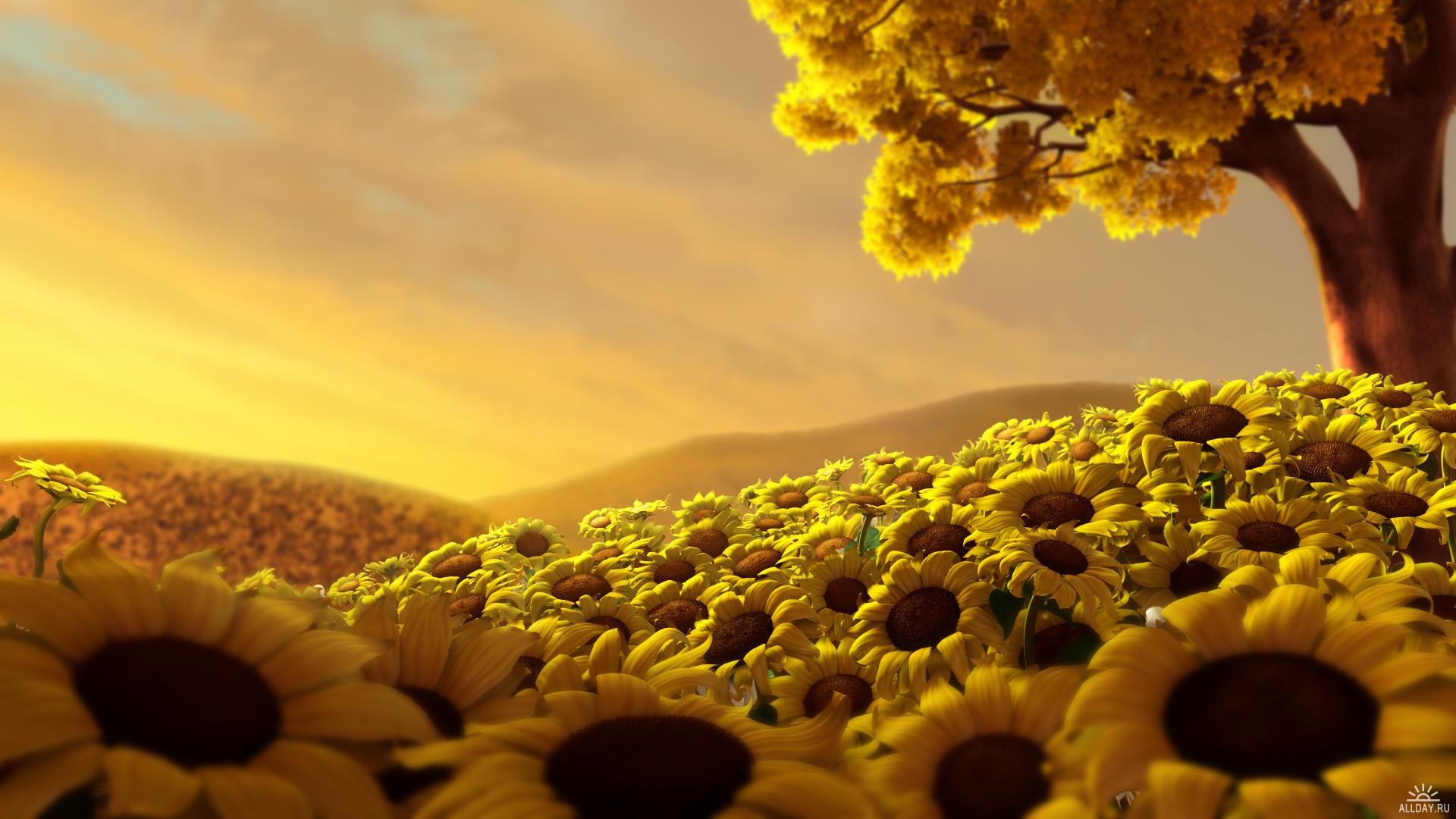 Yellow Nature Wallpapers