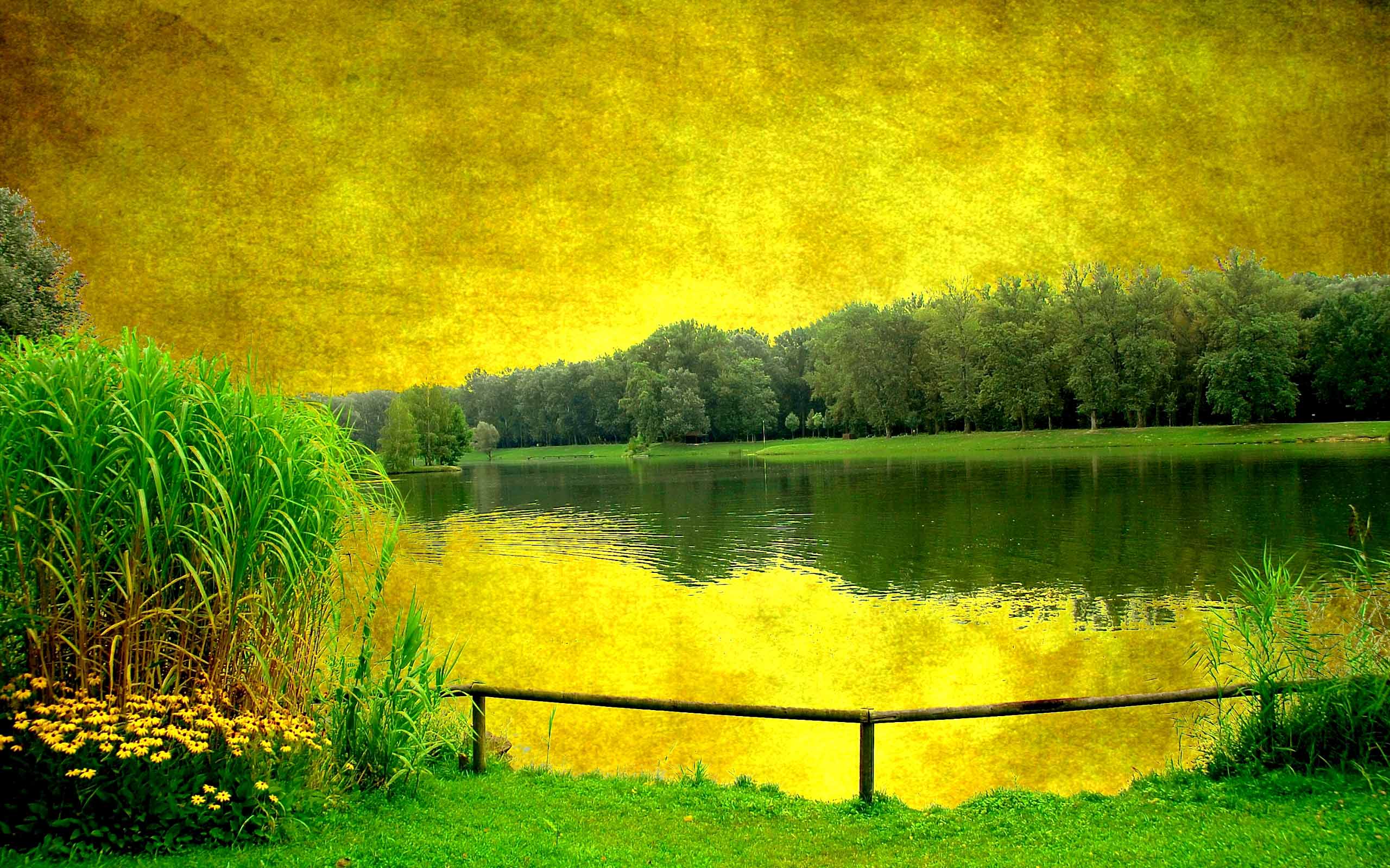 Yellow Nature Wallpapers