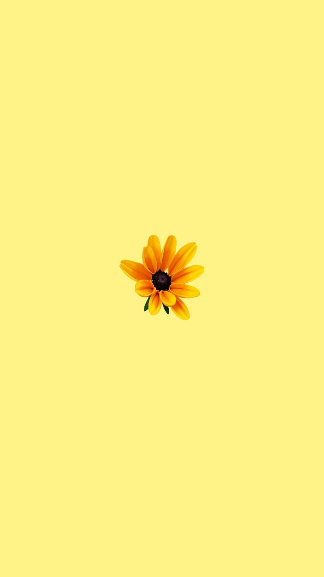 Yellow Summer Aesthetic Wallpapers