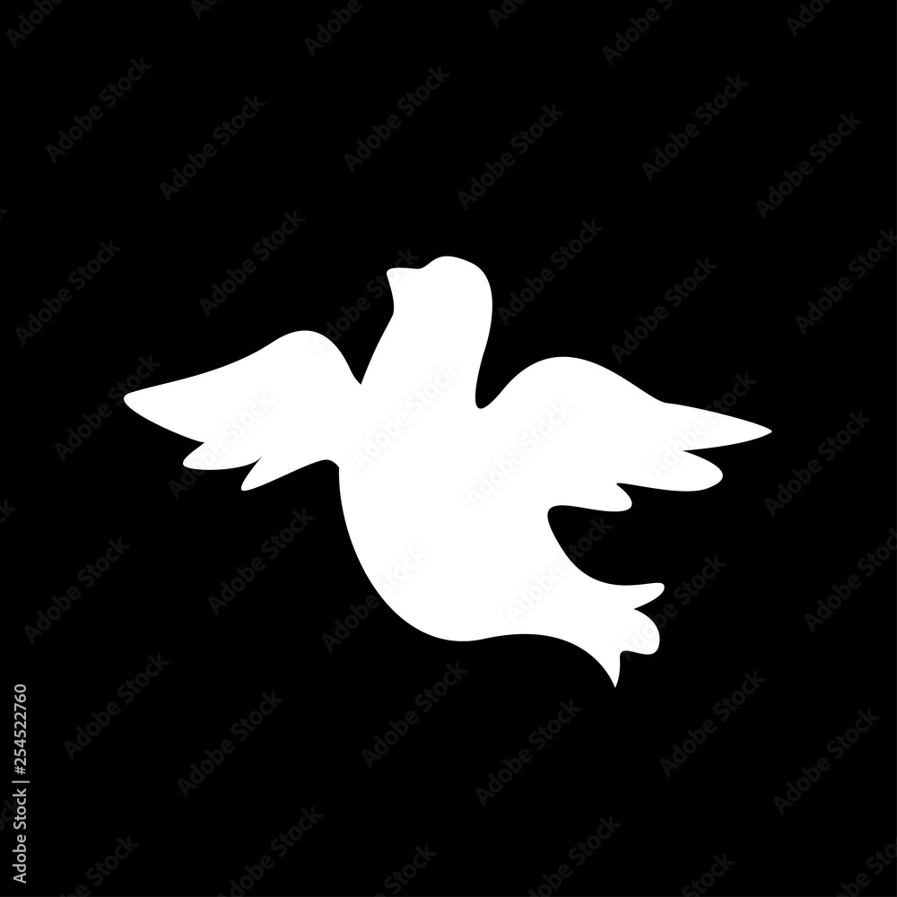 White Dove Black Background