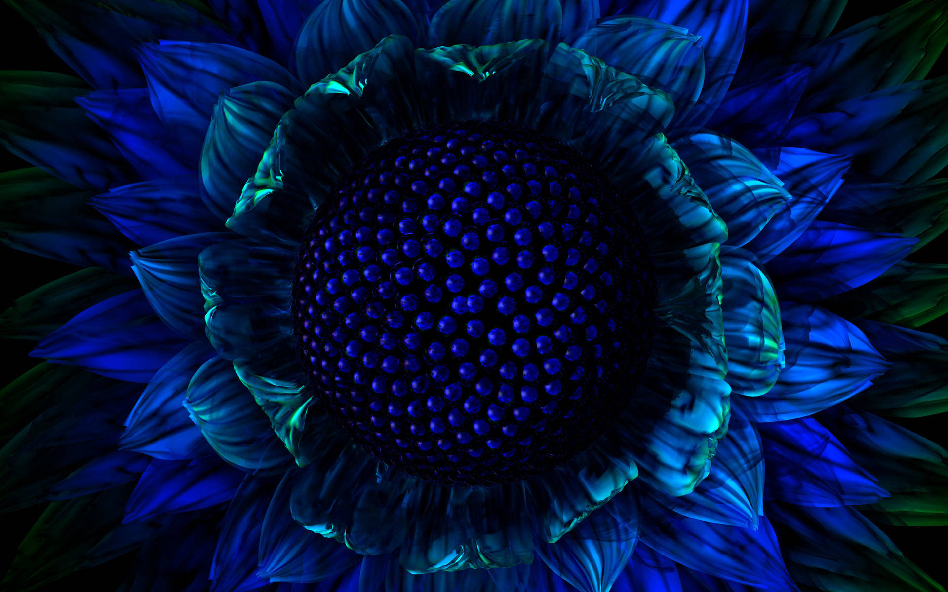 Blue Flower Texture 4K Wallpapers