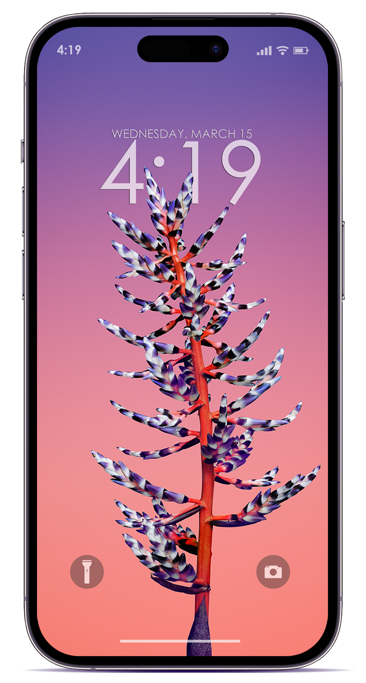 Purple Ios 14 Iphone 12 Wallpapers
