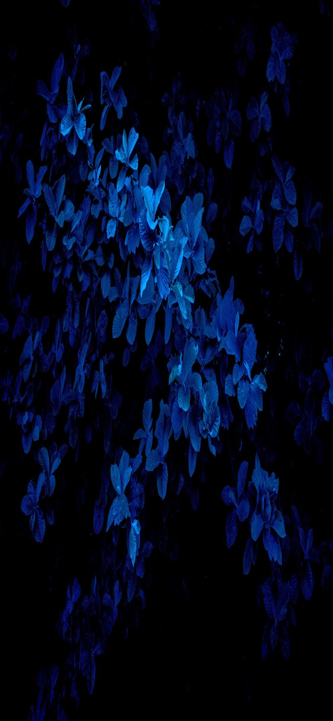 Blue Macro Artwork Wallpapers