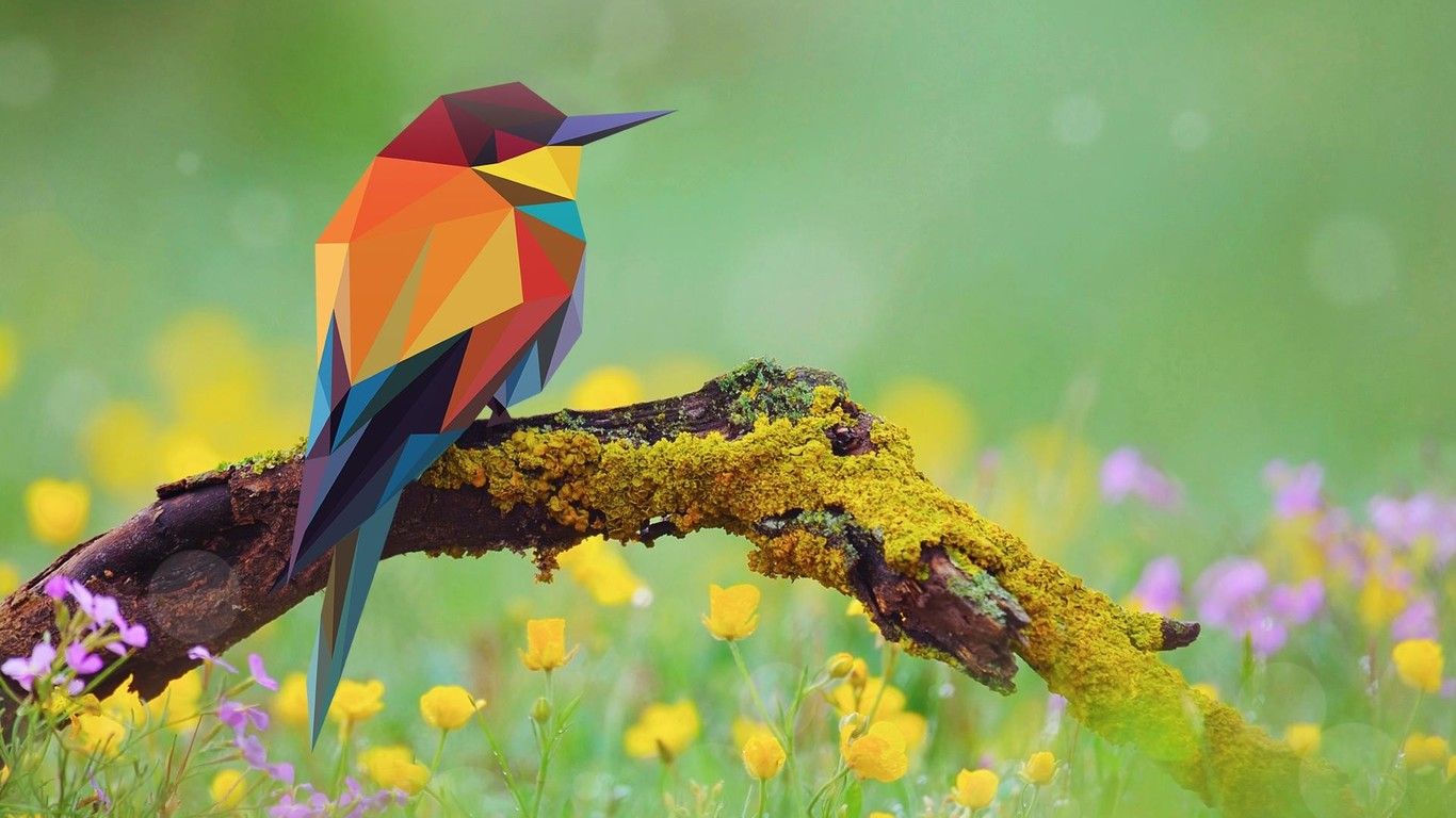 Abstract Colors Flashy Bird Wallpapers