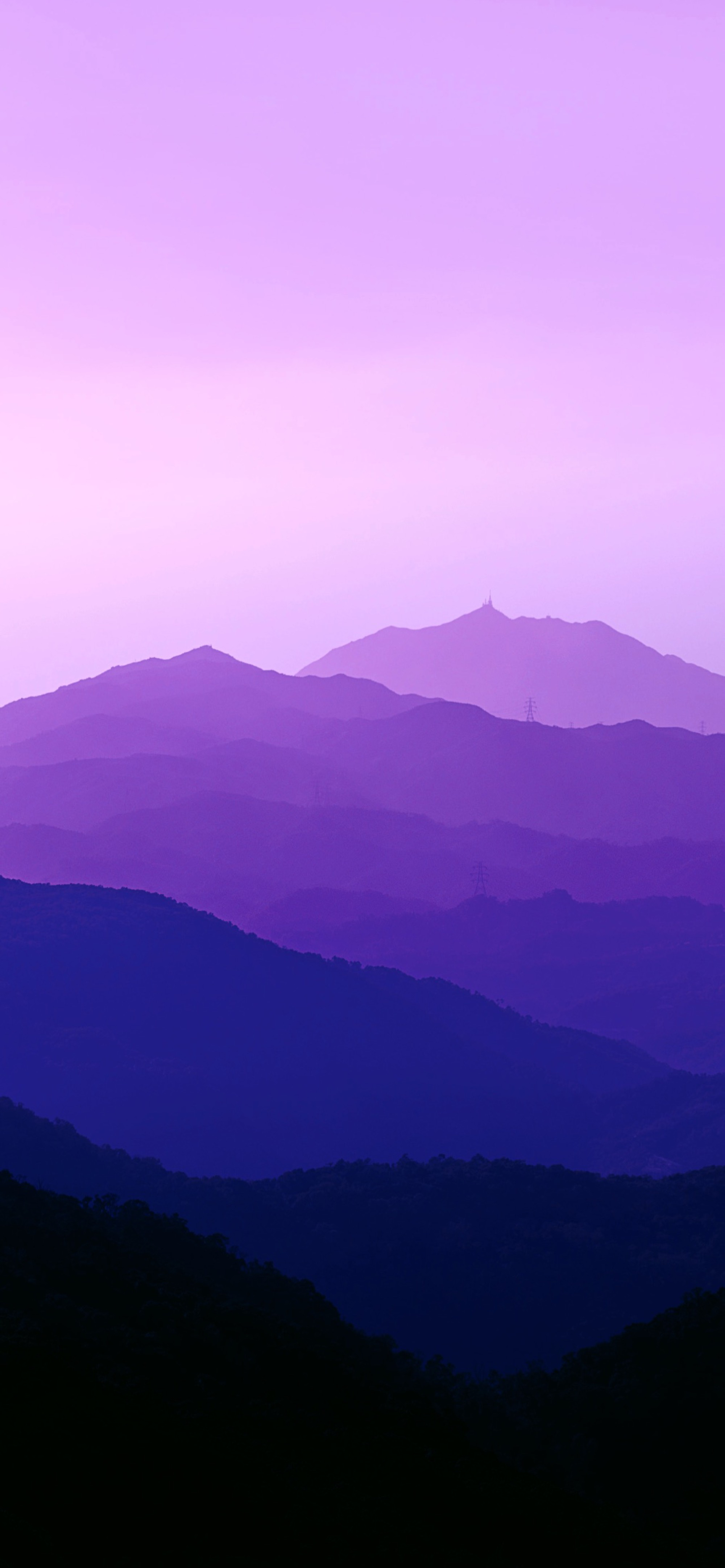 Forest Purple Gradient Wallpapers