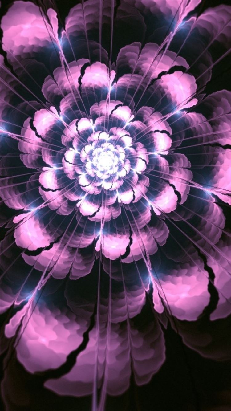 Abstract Petals Wallpapers