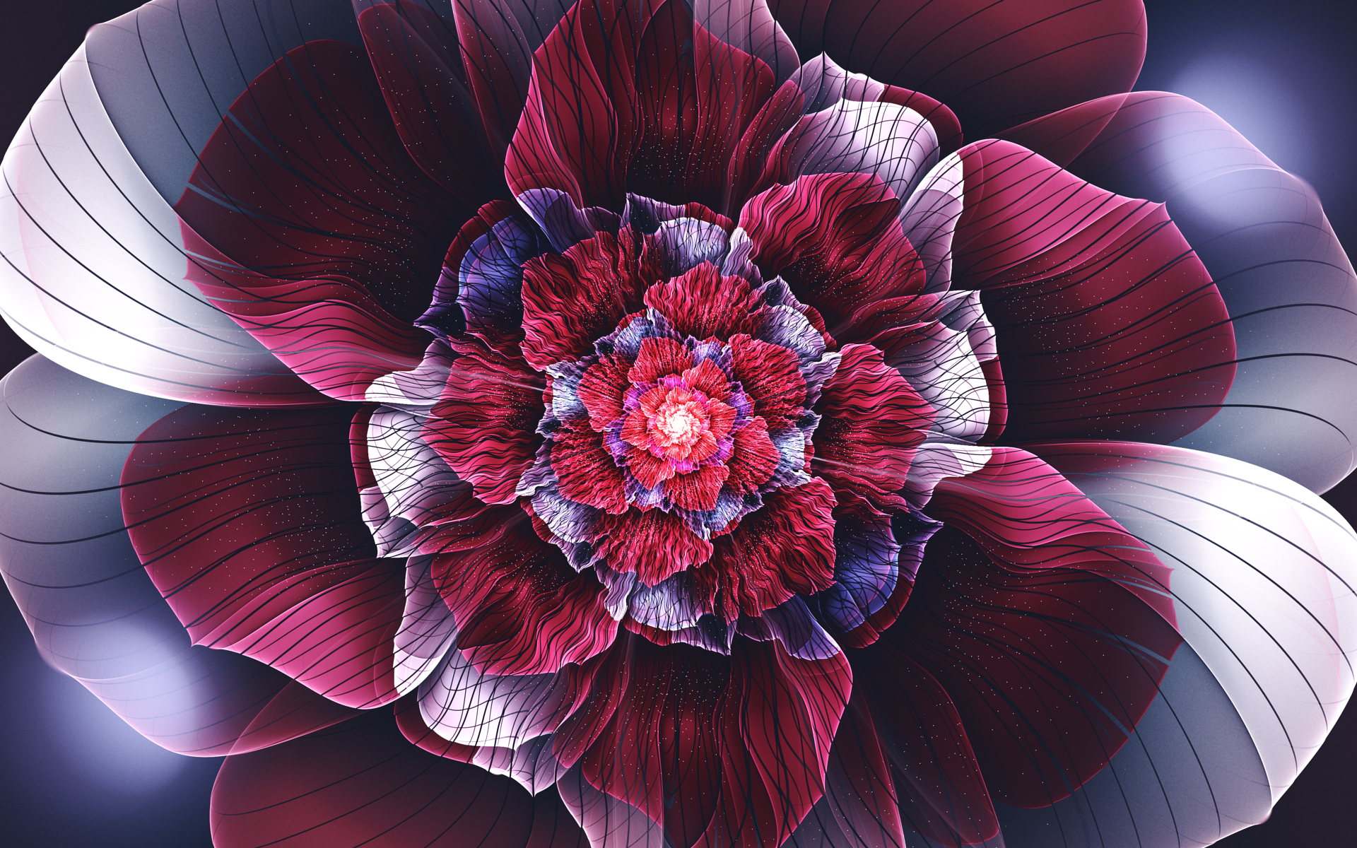 Abstract Petals Wallpapers