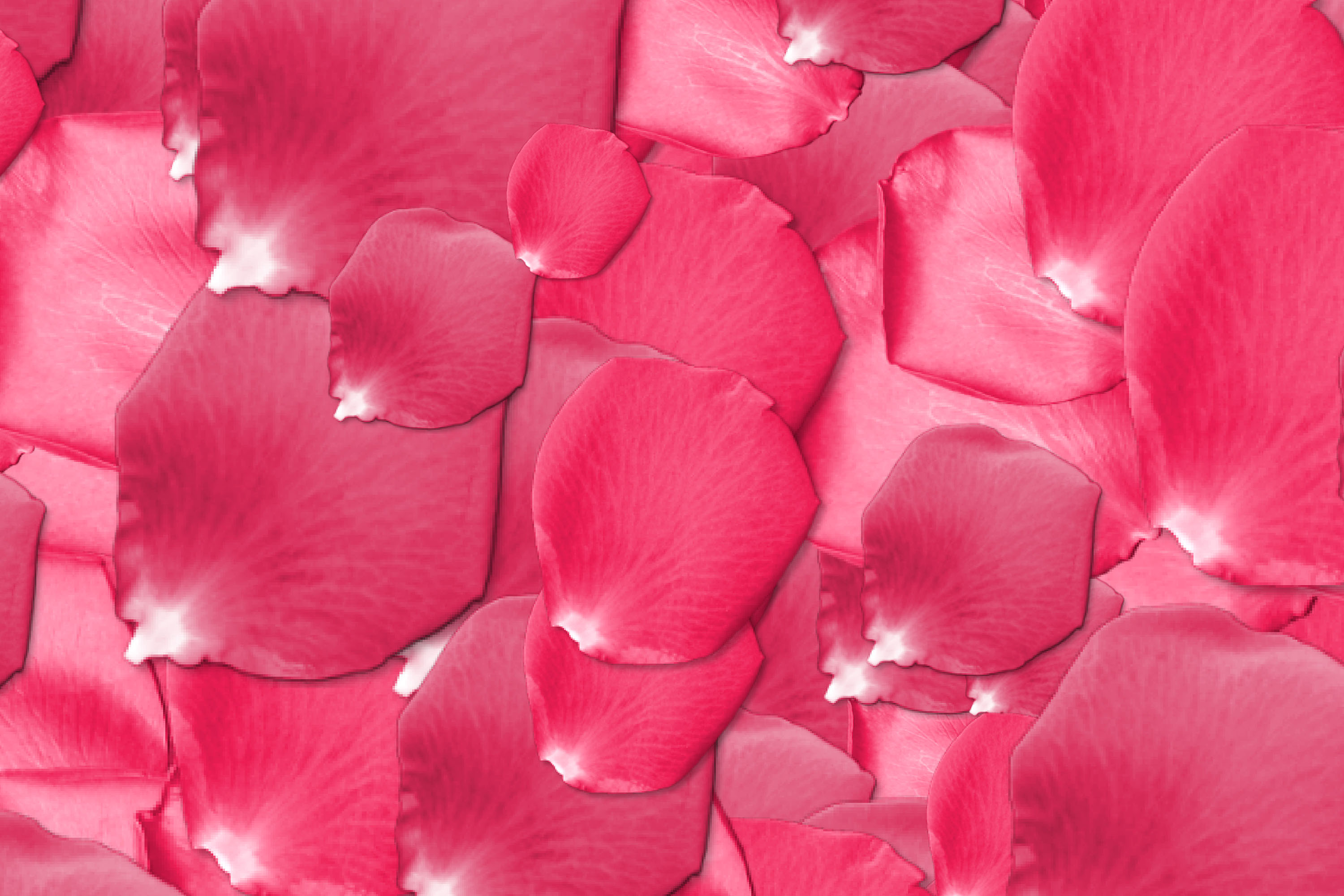 Abstract Petals Wallpapers