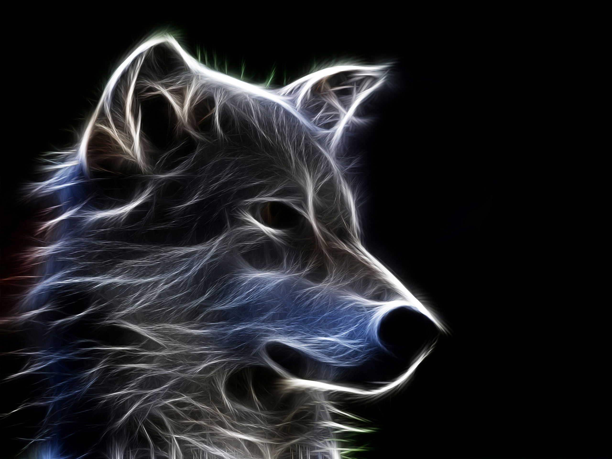 Abstract Animals Wallpapers