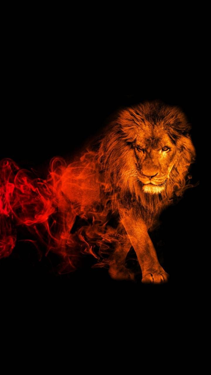 Abstract Lion Wallpapers