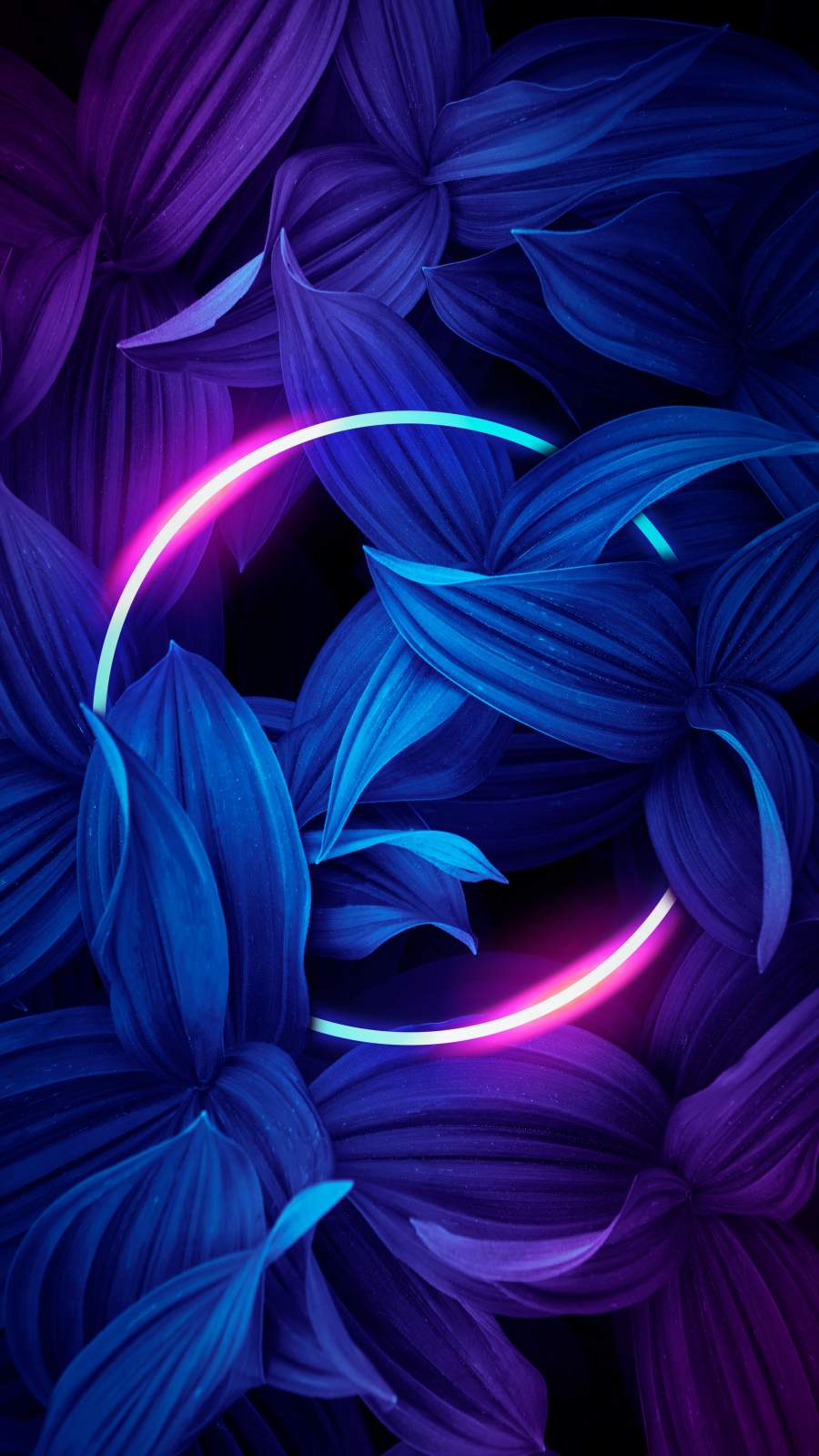 Abstract Nature Iphone Wallpapers