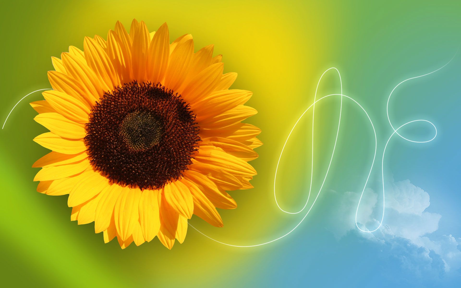 Abstract Sunflower Wallpapers