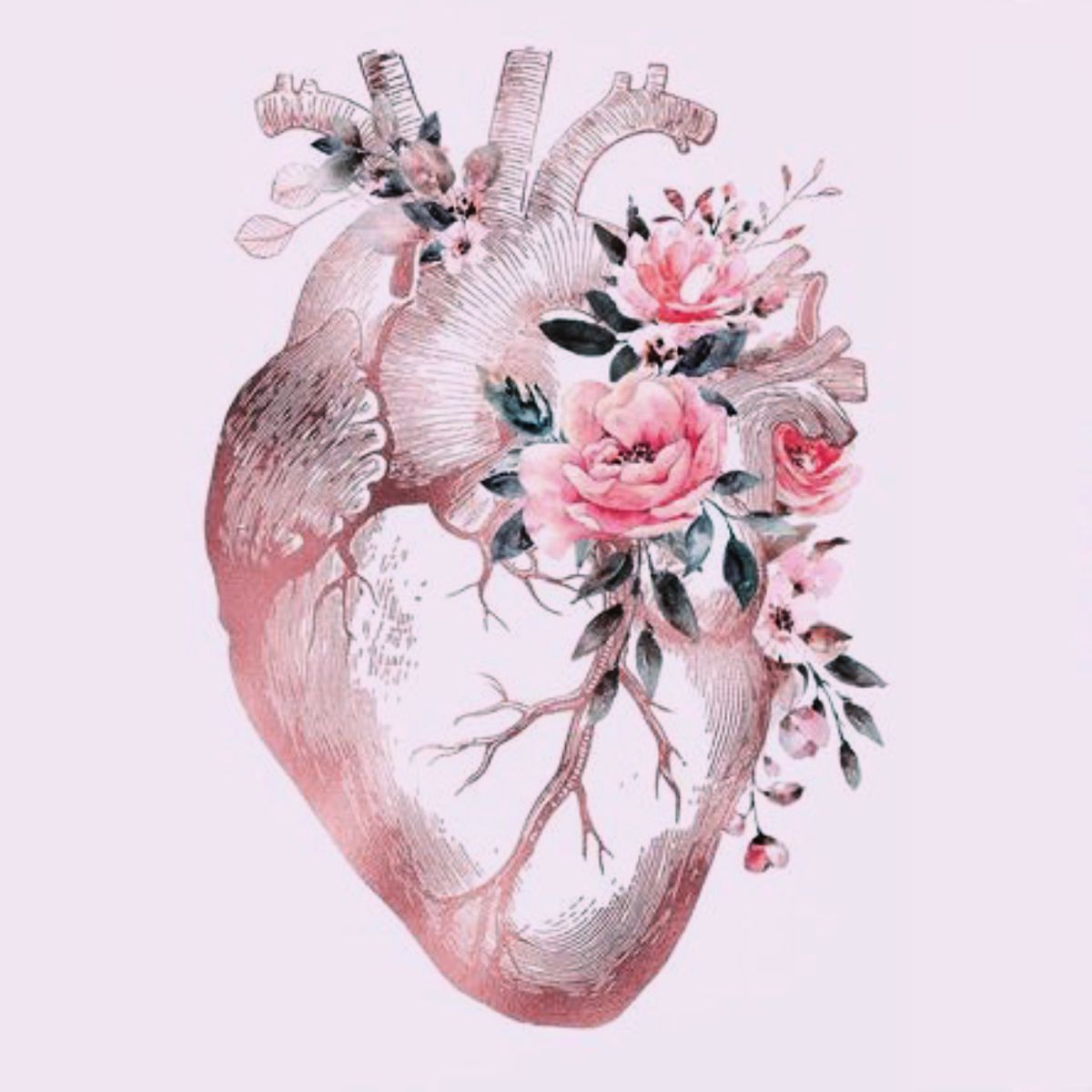 Aesthetic Anatomical Heart Wallpapers